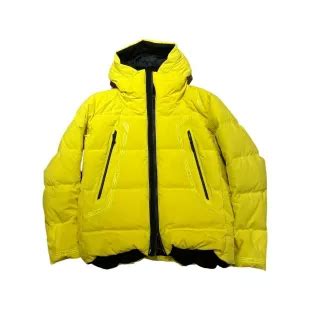 Dior Hooded down technical puffer ski jacket 